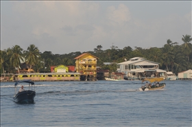 Bocas del Toro